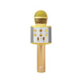 /products/bluetooth-karaoke-mikrofon/