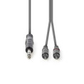 /products/kabel-jack-stereo-2x-cinch-1-5m/